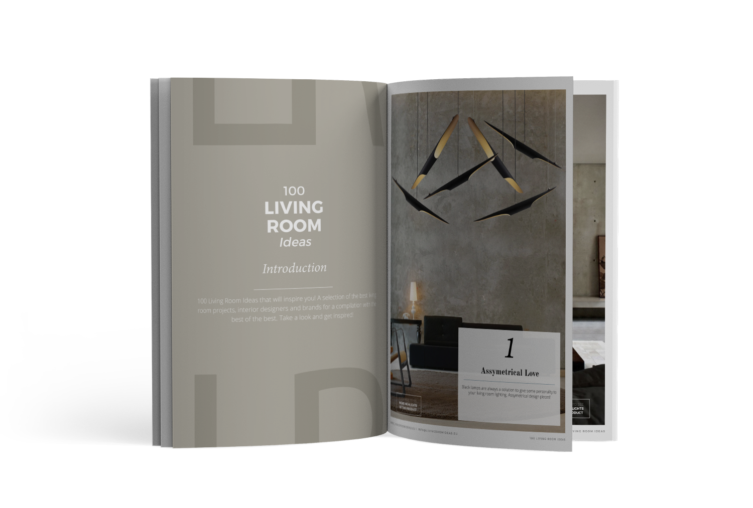 100 Living Room Ideas